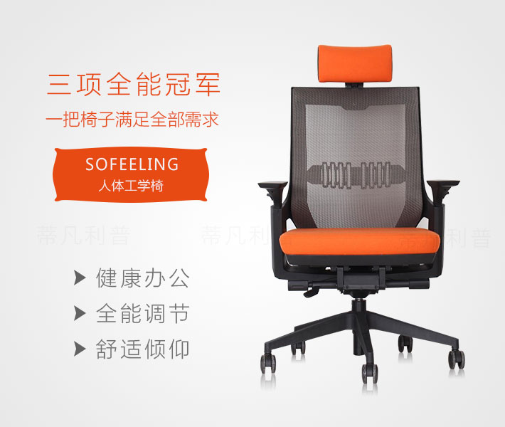 上海办公家具——SOFEELING系列人体工学椅02.jpg